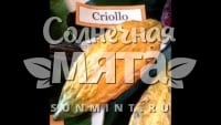 Какао Criollo