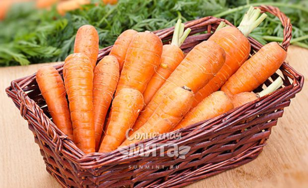 Морковь в волосах, букетах, горшках и тарелках