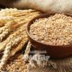 Пшеница: кормилица или душегубица?