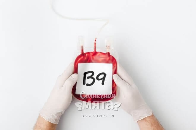 Витамин B9 участвует в создании крови, фото