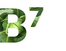 Витамин B7, H