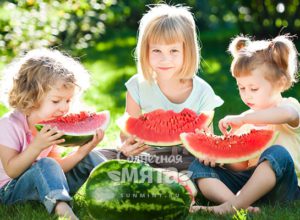 Три девочки едят арбуз на лужайке, фото