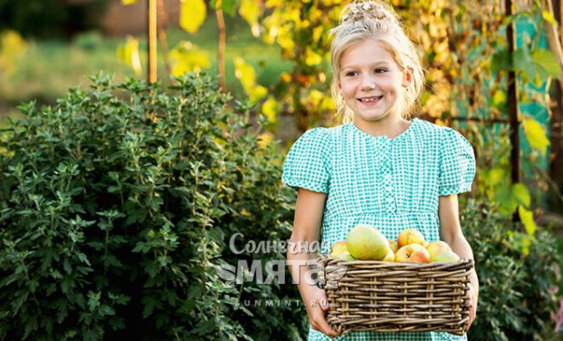Улыбающаяся девочка держит ящик с фруктами, фото